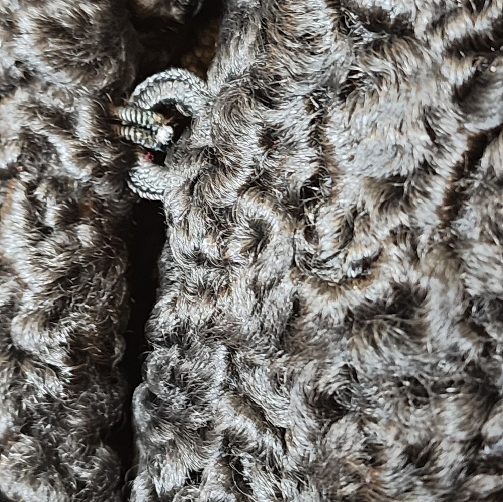 Vintage 1950s Persian Curly Lamb Coat Mink Collar Fort Fur Co. Luxury Jacket - Picture 7 of 15